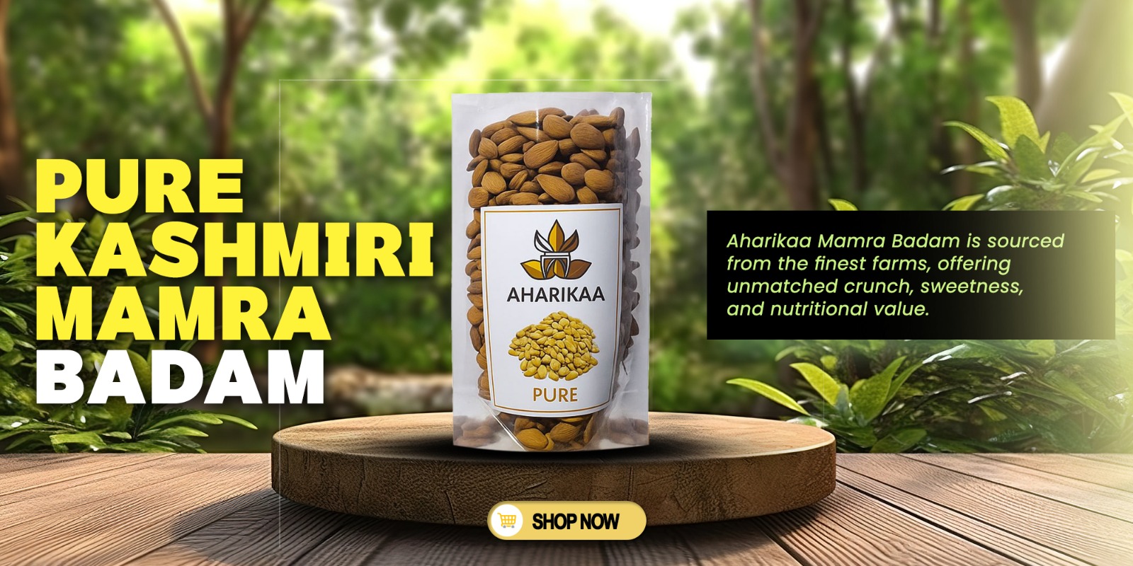 3050a307-69a5-41b2-aa68-a4c741a57d12